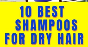 best shampoo for dry hair in india