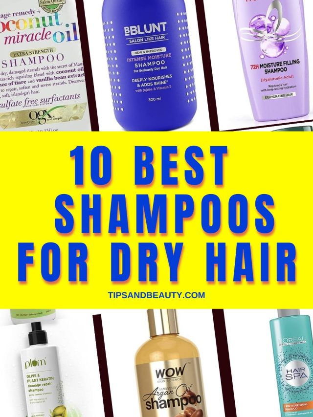 Top 10 Best Shampoos For Dry Hair in India (2023)