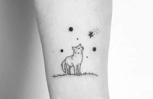 Simple Cat On Moon Design