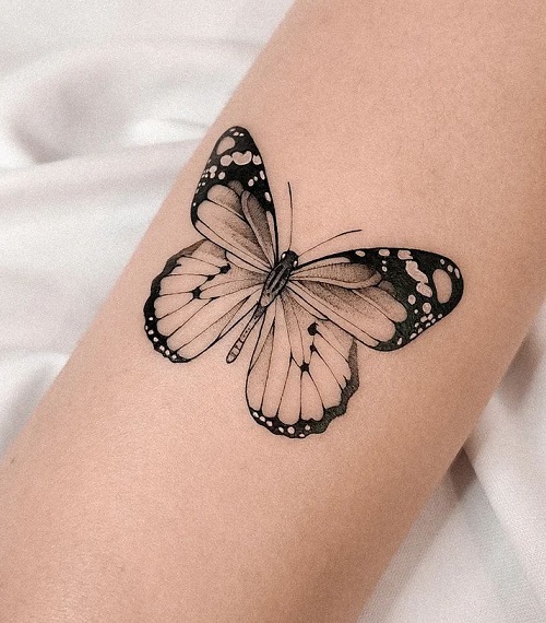 Black shaded Butterfly