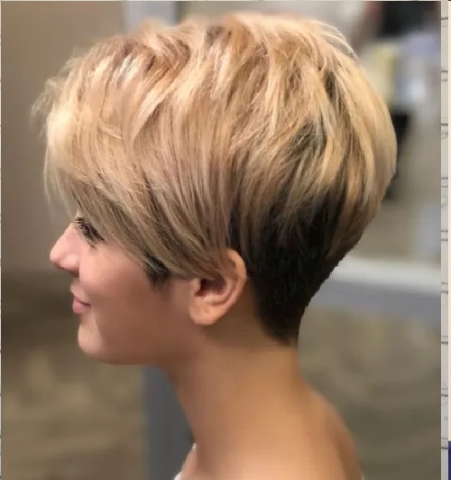 Blended Pixie Cut Hairstyle