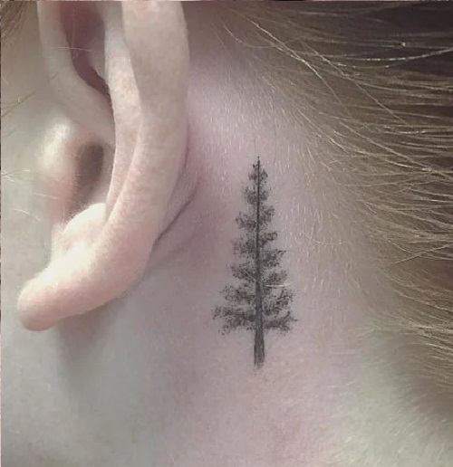 Coniferous Tree Tattoo