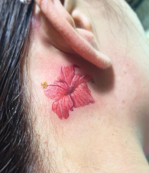 Hibiscus Floral Shape